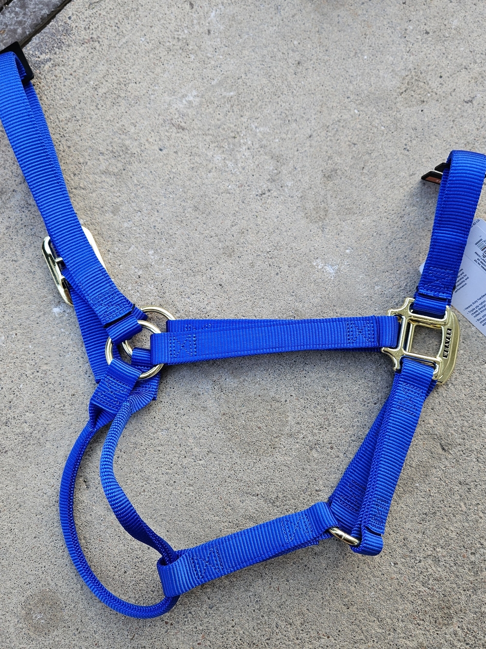 NWT Royal Blue Nylon Horse Halter